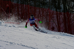 IMGP0389.JPG