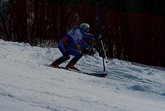 IMGP0445.JPG