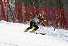 IMGP0451.JPG