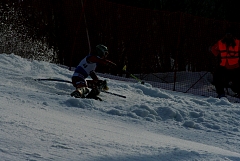 IMGP0464.JPG